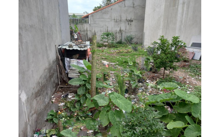 Bán đất An Phú Đông 9 Q12, 63m2, N4m, Đ. 3m giá chỉ 2.x tỷ